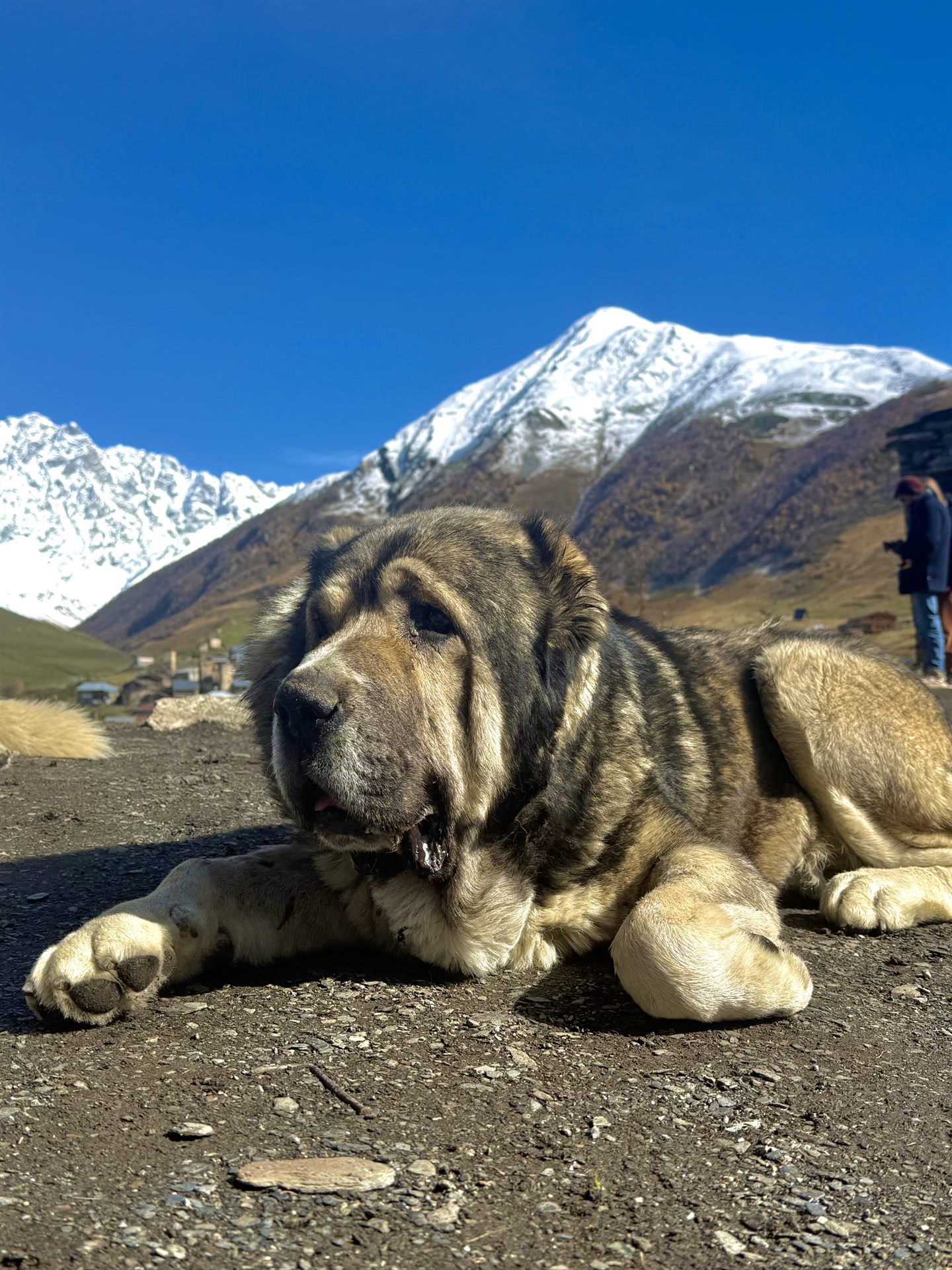 SVANETI 3 DAYS
